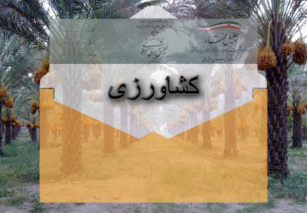 پیگیری اعطای تسهیلات به دامداران سنتی روستایی و عشایری