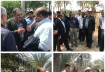 پیگیری جهت رفع مشکلات کشاورزان و باغداران نخلستانها و امور دامی و دامپروری شهرستان آبادان
